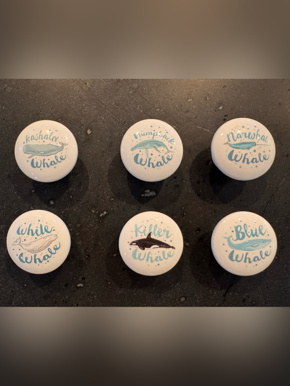 Set of 6 Whale Print Knobs